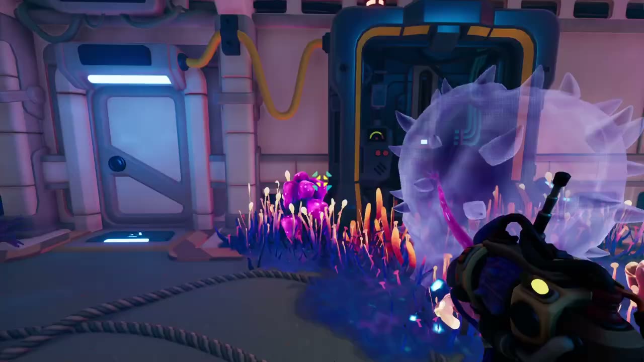 The same doorway with the cactus now translucent, so the player can walk through it